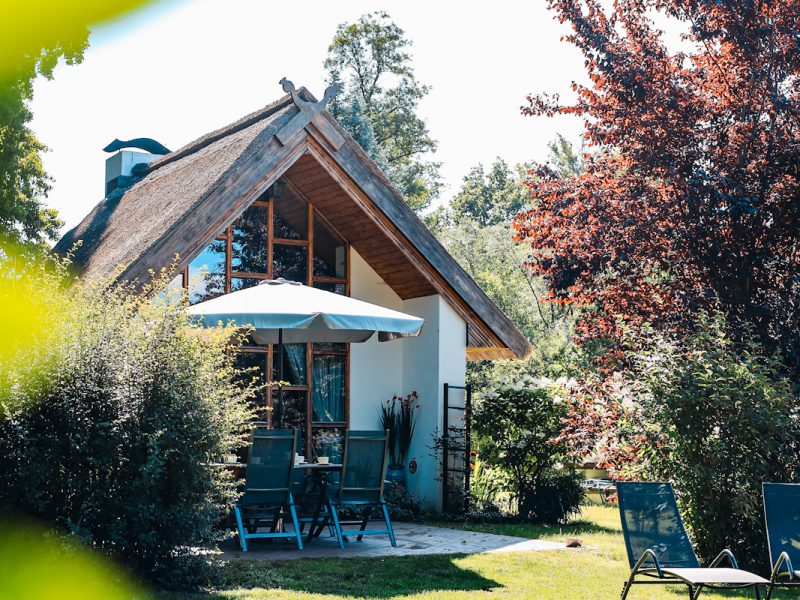 IMG_4896_vfktzmrnq hfpvth